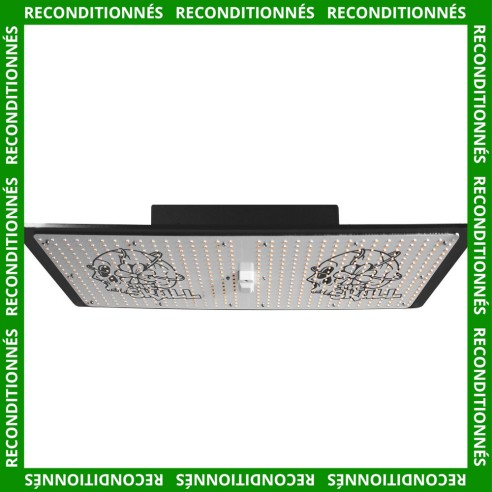 The Skull 240W - Full spectrum horticultural LED panel - Stolasis  (reconditioned)