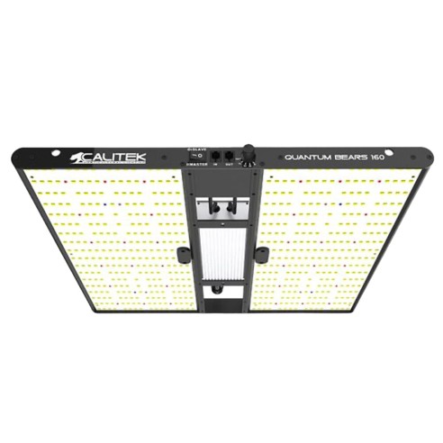 Panneau Led - Quantum bears 160 W - Calitek