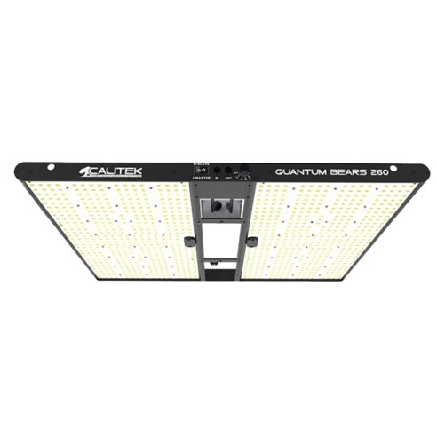 Panneau Led - Quantum bears 260 W - Calitek