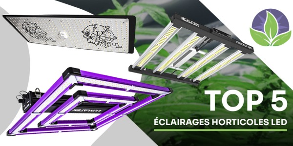 Top 5 des éclairages horticoles LED pour ta culture d'intérieur