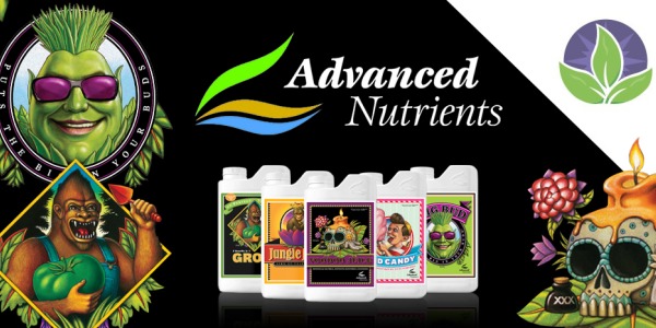 Advanced Nutrients : The perfect fertilizers for successful indoor cultivation