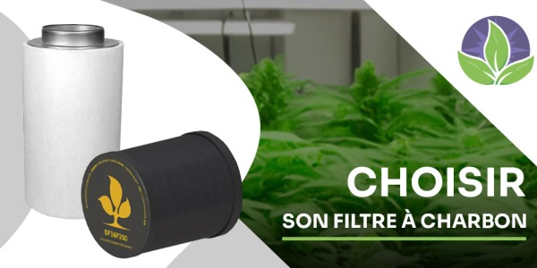 Which charcoal filter to choose for indoor cultivation?