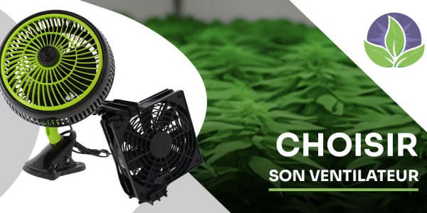 How to choose a fan for indoor cultivation?