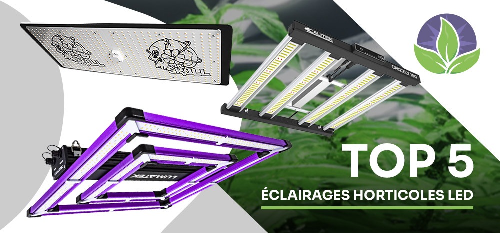 Top 5 des éclairages horticoles LED pour ta culture d'intérieur