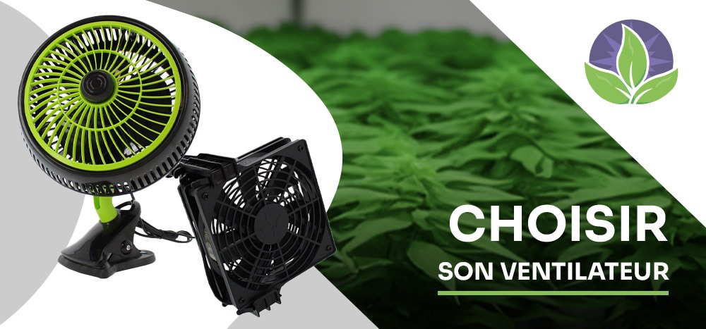 How to choose a fan for indoor cultivation?